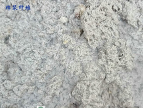 石棉棉浆纤维挤干固液分离